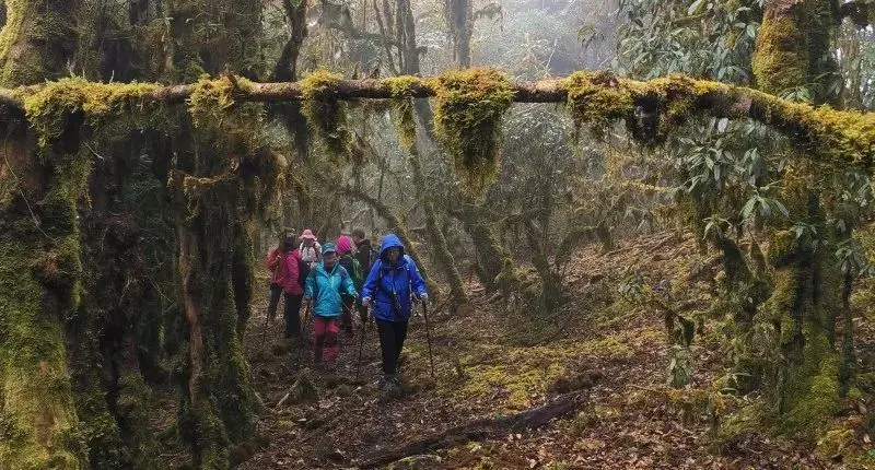 哀牢山发现的红薄膜不是雨衣，那是什么？他们可能遇上了突发情况