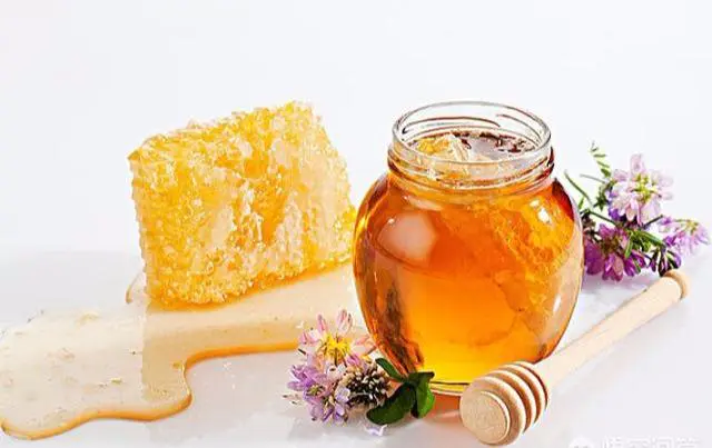 蜂蜜怎么样喝效果最好(浅谈蜂蜜水什么时候喝最好)插图 蜂蜜怎么样喝效果最好(浅谈蜂蜜水什么时候喝最好)插图