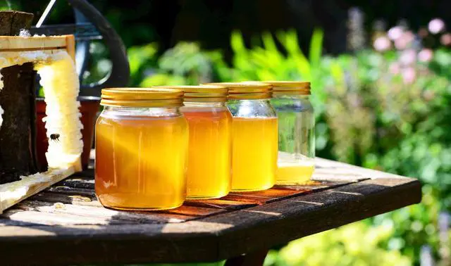 蜂蜜怎么样喝效果最好(浅谈蜂蜜水什么时候喝最好)插图2 蜂蜜怎么样喝效果最好(浅谈蜂蜜水什么时候喝最好)插图2