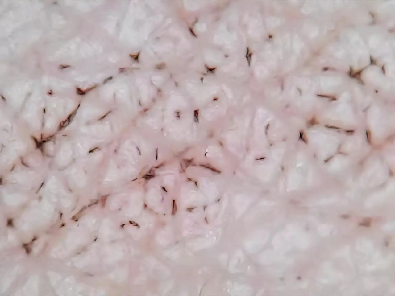 黑头导出液怎么用的(介绍怎样让这样脏兮兮的脸变得白净点)插图10 黑头导出液怎么用的(介绍怎样让这样脏兮兮的脸变得白净点)插图10