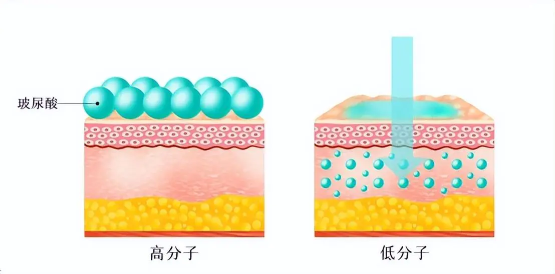 玻尿酸精华液怎么用(解析玻尿酸与精华液的正确使用顺序)插图2 玻尿酸精华液怎么用(解析玻尿酸与精华液的正确使用顺序)插图2
