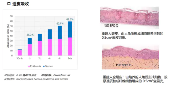 玻尿酸精华液怎么用(解析玻尿酸与精华液的正确使用顺序)插图5 玻尿酸精华液怎么用(解析玻尿酸与精华液的正确使用顺序)插图5