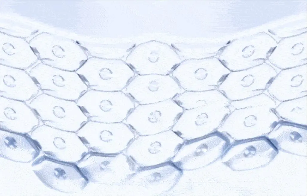 玻尿酸精华液怎么用(解析玻尿酸与精华液的正确使用顺序)插图6 玻尿酸精华液怎么用(解析玻尿酸与精华液的正确使用顺序)插图6