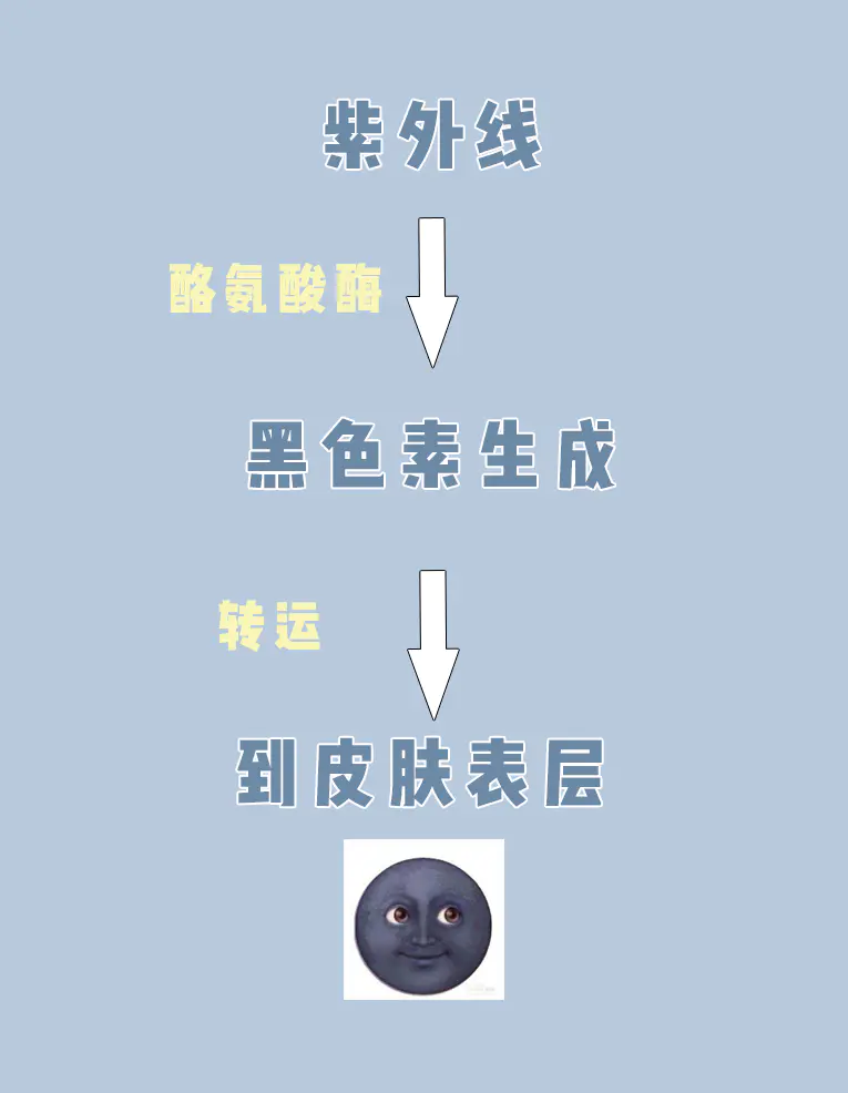 怎么样能美白(浅谈亲测最快速有效的美白方法)插图3 怎么样能美白(浅谈亲测最快速有效的美白方法)插图3