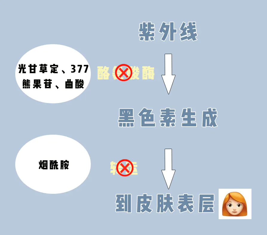 怎么样能美白(浅谈亲测最快速有效的美白方法)插图10 怎么样能美白(浅谈亲测最快速有效的美白方法)插图10