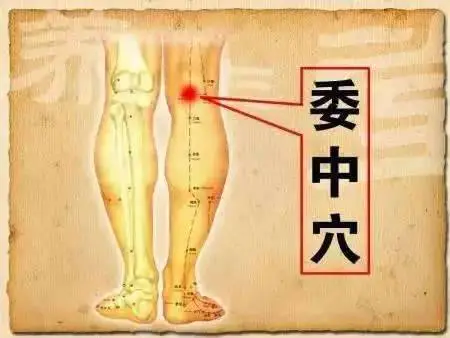 怎么样可以快速去湿气(讲解巧去湿气的三个小方法)插图 怎么样可以快速去湿气(讲解巧去湿气的三个小方法)插图