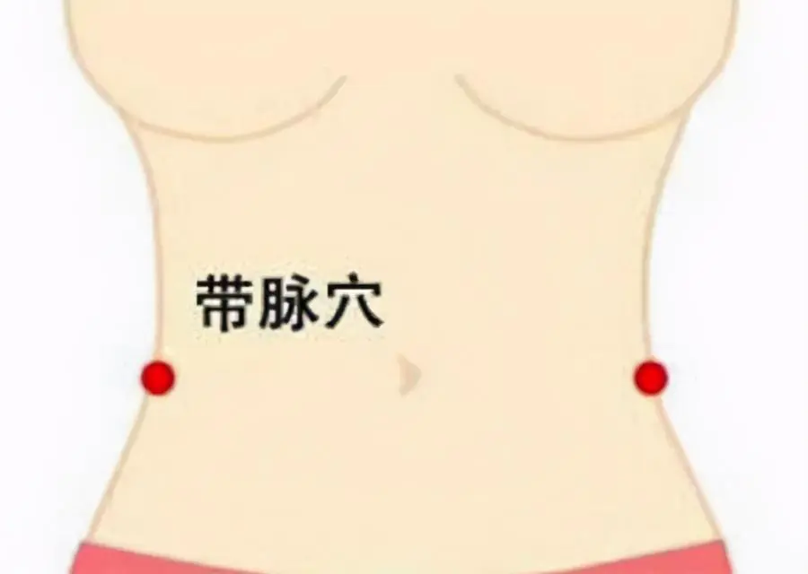 艾灸怎么用可以瘦肚子(解析艾灸可以瘦肚子这一个穴位最关键)插图2 艾灸怎么用可以瘦肚子(解析艾灸可以瘦肚子这一个穴位最关键)插图2