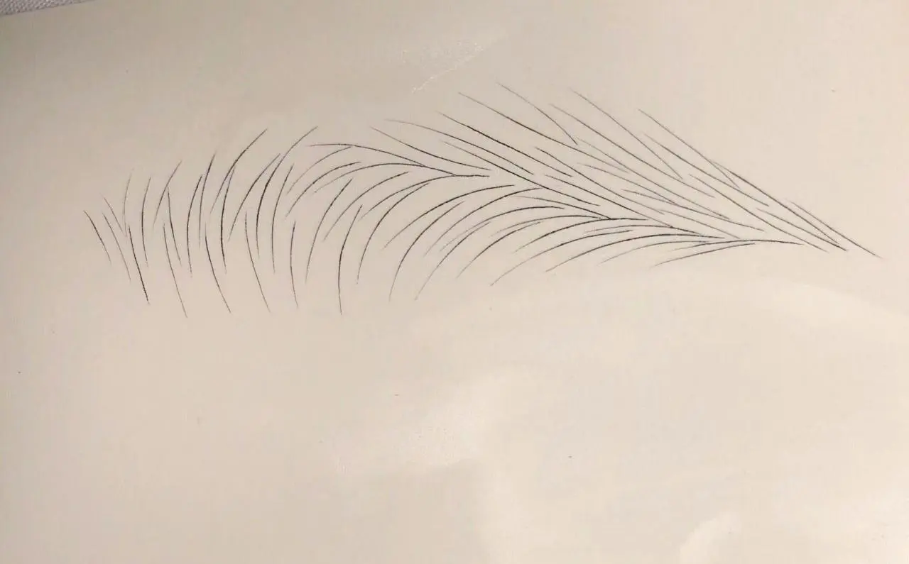 雾眉和丝雾眉哪个好(讲解雾眉线条眉和丝雾眉究竟该怎么选)插图3 雾眉和丝雾眉哪个好(讲解雾眉线条眉和丝雾眉究竟该怎么选)插图3